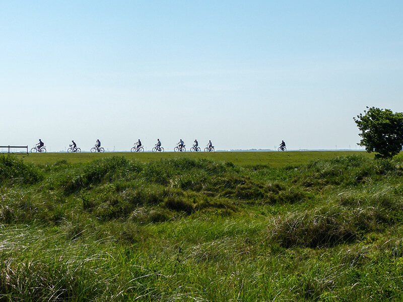 Coaching - Bild von Wiese mit sonnigem Himmel und Fahrradfahrern